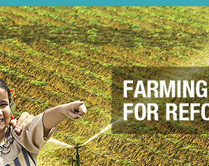 Sprinkler Irrigation System